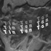 聽天湯 Tin Ten Tan