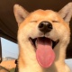 涵