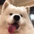 栗吱