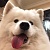 栗吱