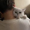 我不回头看