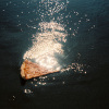 twilight_water_emd