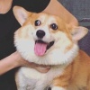 販賣快樂