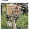 Dan