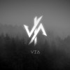 V.I.A 贪蚁