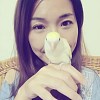 Vanessa_parrots