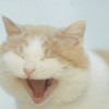 V-