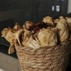 Coconutslover