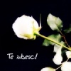 echoohce