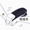 选手蔡维泽_
