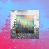WILD 清醒夢者