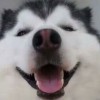 月月