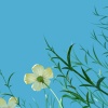WenYu23