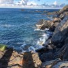 tony_f0802