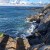 tony_f0802