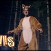 Whatdoesthefoxsayy