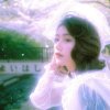 猫头鹰不再写信