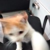孙莜然_