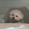 XUAN