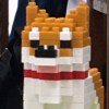 nick91010125
