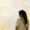 蕭璇璇✨