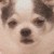 xuanying0109
