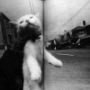 芥川