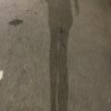 雅