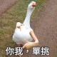 yoohsn