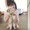 廖苡婷