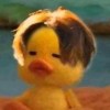 之(⑉◕◡◕⑉)
