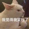 Yuki_Wins