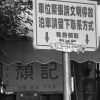 無人區囂張玫瑰花