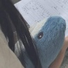 lin