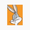 @YungBunny