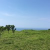 山風嵐