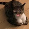 倉