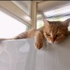 Zekey0226