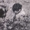 蔡徐坤demo