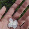 章鱼丸子酱
