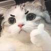 一樓