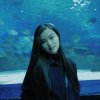 蛮牛