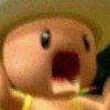 Y