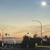 _8175yy