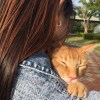 れいな