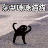 ___Roooou___