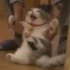 nio