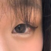 筋砧鴣Gu