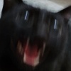 _jieee_