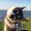 VVjjjjjjj
